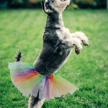 1 шт. Праздничное марлевое платье для собак цвета радуги, красивая марлевая юбка, праздничная юбка-пачка из сетки (разноцветная)