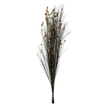 Трава длиной 36 дюймов, украшенная стручками натуральных семян, Настоящая Консервированная сушеная трава для свадьбы или Аранжировок, 8-9 пучков